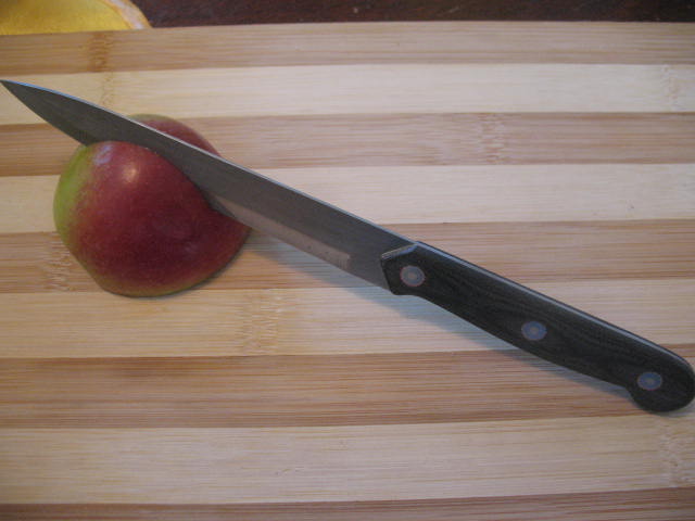 Kitchen Knife Repair